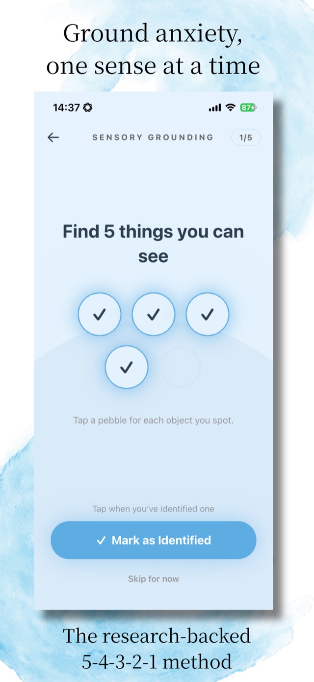 5-4-3-2-1 sensory grounding screen: find five things you can see to let the wave of anxiety pass.